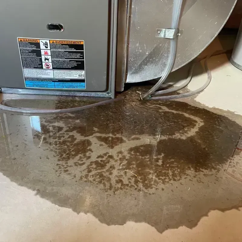 Appliance Leak Cleanup in Nixa, MO